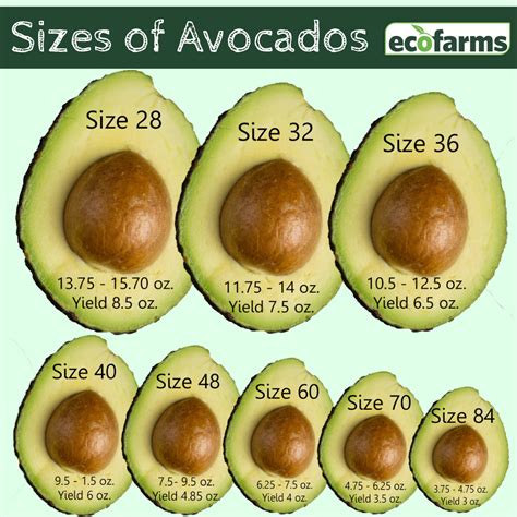 calories in 1 oz avocado.